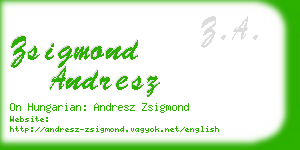 zsigmond andresz business card